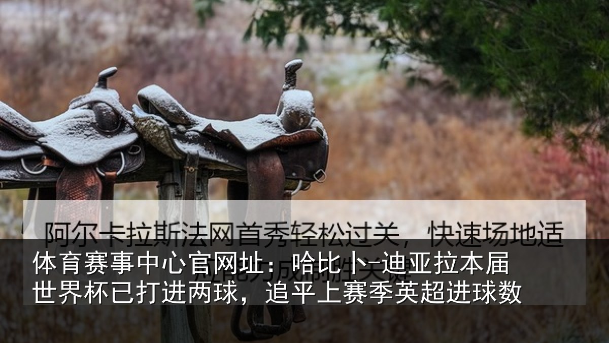 体育赛事中心官网址：哈比卜-迪亚拉本届世界杯已打进两球，追平上赛季英超进球数