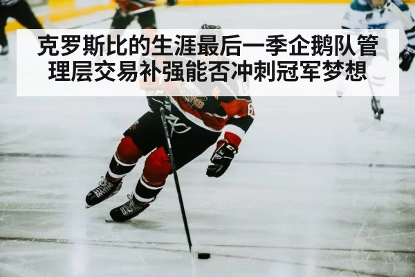 克罗斯比的生涯最后一季企鹅队管理层交易补强能否冲刺冠军梦想